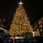 The Tree at South Street Seaport